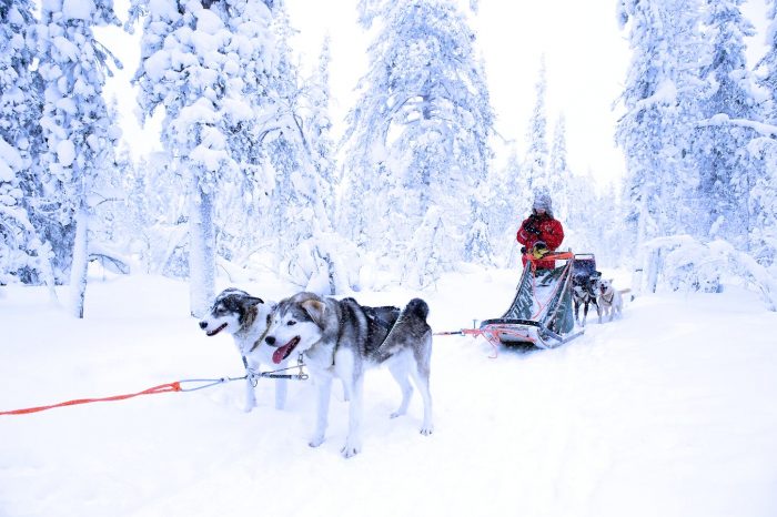 Laponie, 18 au 22 décembre 2022, à la rencontre du Père Noël – 5 jours
