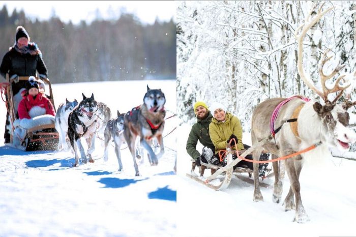 19 décembre 2023, Voyage Laponie, Chalet privé, Multi-Activités et Village Officiel du Père Noël…