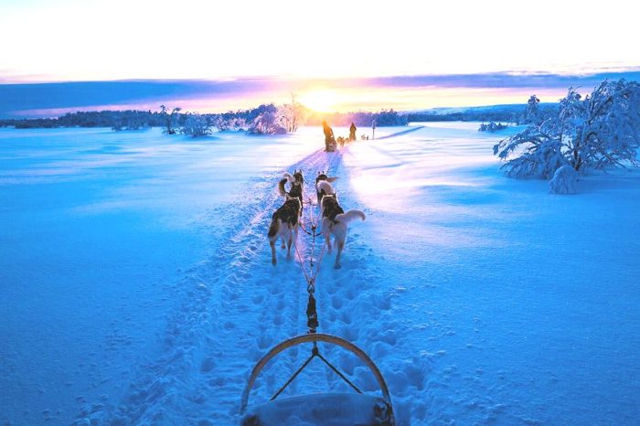 Voyage séjour Finlande Laponie Rovaniemi, Tout Compris, départ 3 mars 2025, 6 jours, Hôtel ou Chalet privé, Multi-Activités…